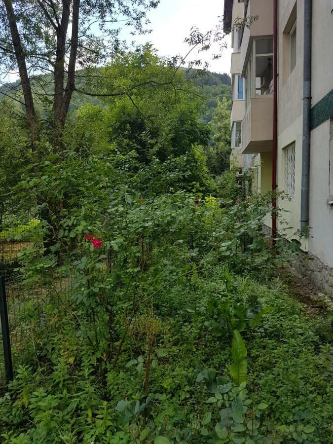 Premium Apartment Sinaia Exterior photo